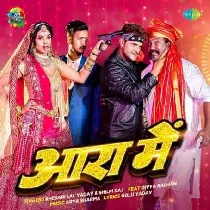 Dekhi Log Power Ba Kunwara Me Tor Doli Jaai Jila Aara Me Dj Song