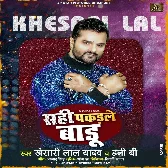 Tohara Pyar Me Khayeb Jharu Rani Sahi Pakadale Badu Mp3 Song
